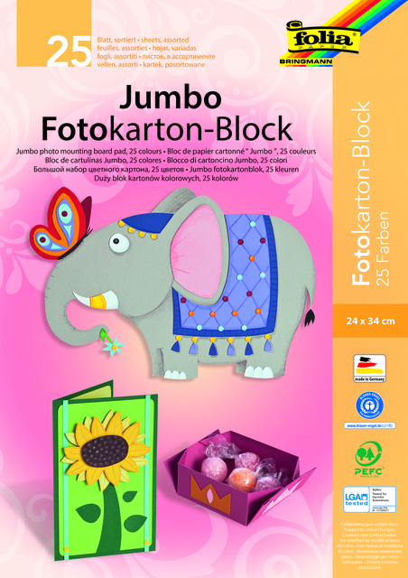 Fotokarton Folia 2-zijdig 24x35cm 300gr 25 vel assorti