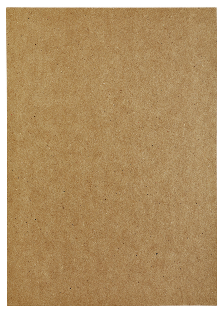 Kopieerpapier Papicolor A4 220gr 6 vel kraft bruin