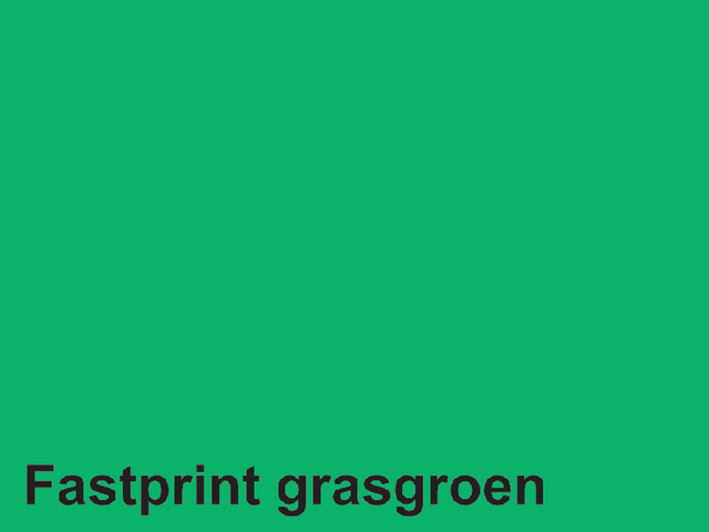 Kopieerpapier Quantore Colour A4 80gr grasgroen 500vel