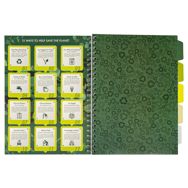 Projectboek Pukka Pad Recycled A4 lijn 5-tabs 4-gaats 200 pagina's 80gr groen