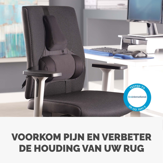 Rugsteun Fellowes Pro Ultieme