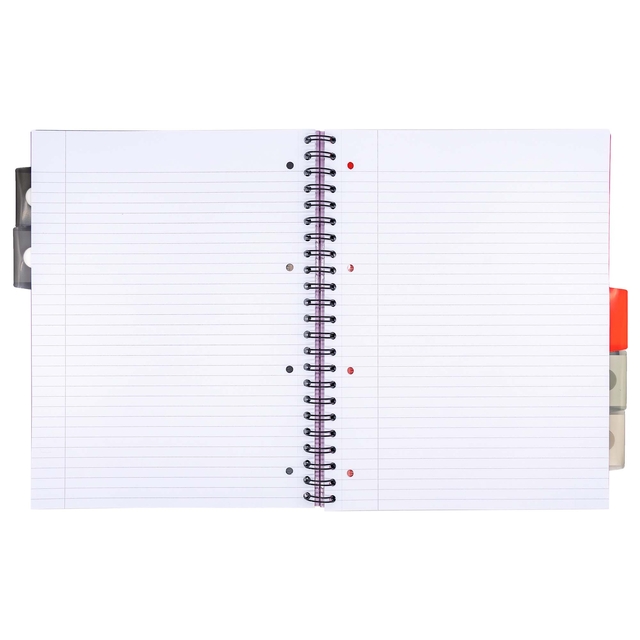 Projectboek Pukka Pad Metallic Executive A4 lijn 5-tabs 4-gaats 200 pagina's 80gr assorti