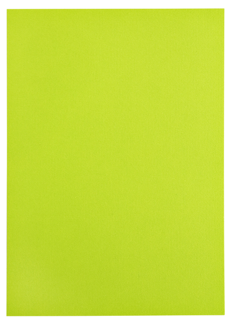 Kopieerpapier Papicolor A4 100gr 12 vel appelgroen