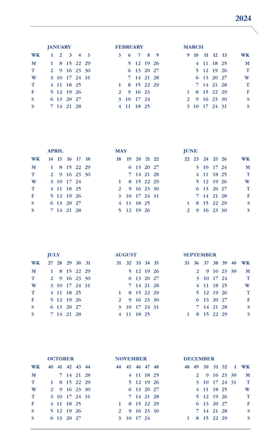 Agenda 2025 Ryam Memoplan 7 Nappa 7dagen/2pagina's assorti